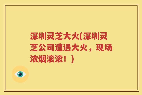 深圳灵芝大火(深圳灵芝公司遭遇大火，现场浓烟滚滚！)