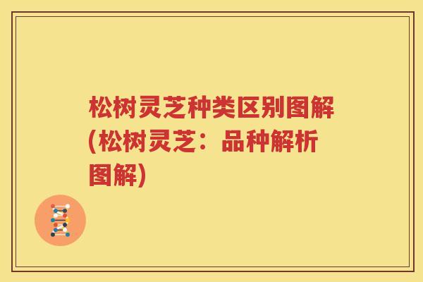 松树灵芝种类区别图解(松树灵芝：品种解析图解)