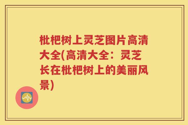 枇杷树上灵芝图片高清大全(高清大全：灵芝长在枇杷树上的美丽风景)