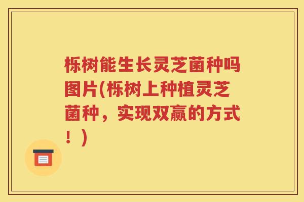 栎树能生长灵芝菌种吗图片(栎树上种植灵芝菌种，实现双赢的方式！)
