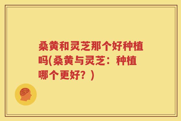 桑黄和灵芝那个好种植吗(桑黄与灵芝：种植哪个更好？)