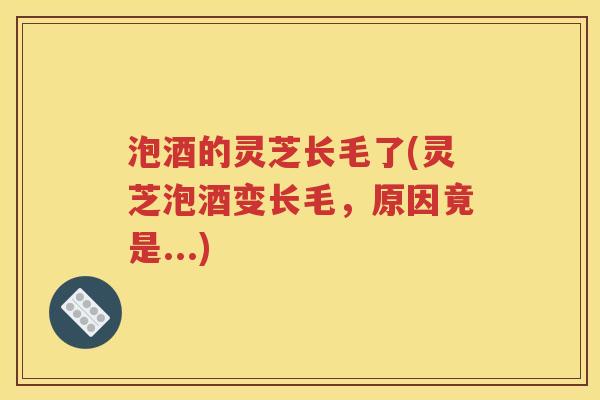 泡酒的灵芝长毛了(灵芝泡酒变长毛，原因竟是...)