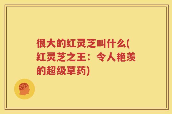 很大的红灵芝叫什么(红灵芝之王：令人艳羡的超级草药)