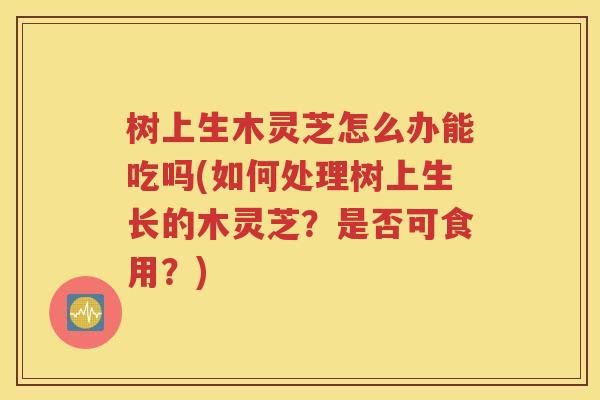 树上生木灵芝怎么办能吃吗(如何处理树上生长的木灵芝？是否可食用？)