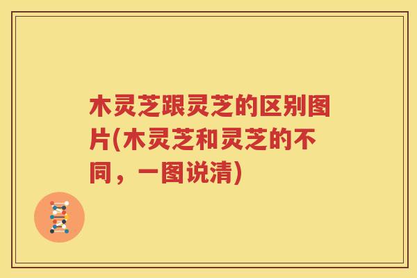 木灵芝跟灵芝的区别图片(木灵芝和灵芝的不同，一图说清)