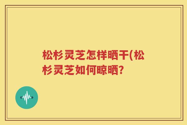 松杉灵芝怎样晒干(松杉灵芝如何晾晒？