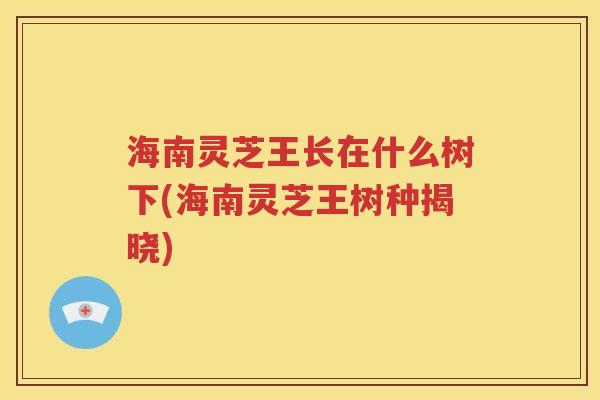 海南灵芝王长在什么树下(海南灵芝王树种揭晓)