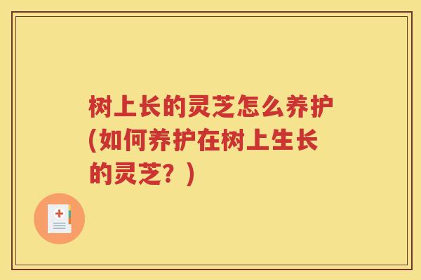 树上长的灵芝怎么养护(如何养护在树上生长的灵芝？)
