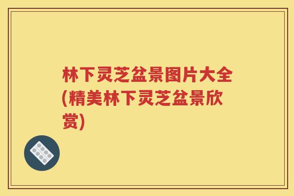 林下灵芝盆景图片大全(精美林下灵芝盆景欣赏)