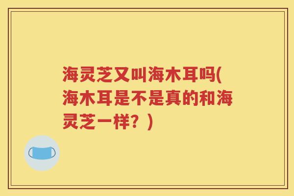 海灵芝又叫海木耳吗(海木耳是不是真的和海灵芝一样？)