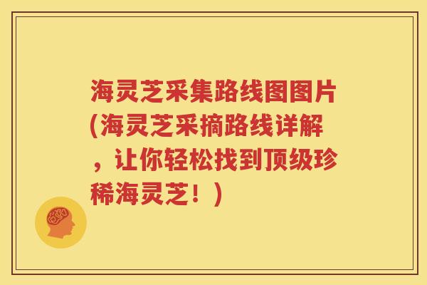 海灵芝采集路线图图片(海灵芝采摘路线详解，让你轻松找到顶级珍稀海灵芝！)