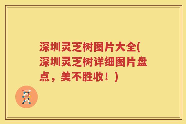 深圳灵芝树图片大全(深圳灵芝树详细图片盘点，美不胜收！)