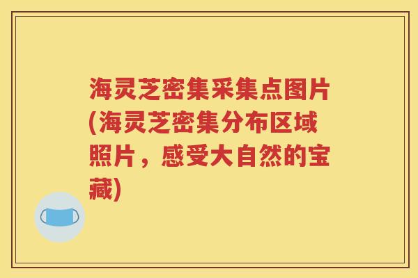 海灵芝密集采集点图片(海灵芝密集分布区域照片，感受大自然的宝藏)