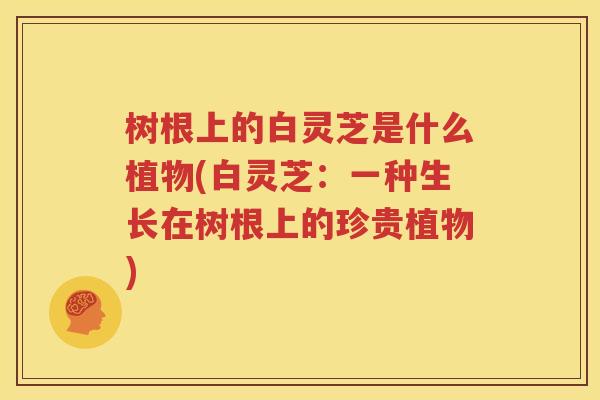 树根上的白灵芝是什么植物(白灵芝：一种生长在树根上的珍贵植物)