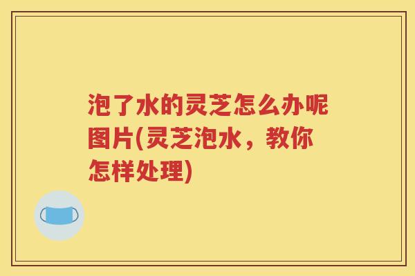 泡了水的灵芝怎么办呢图片(灵芝泡水，教你怎样处理)