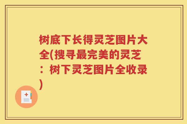 树底下长得灵芝图片大全(搜寻最完美的灵芝：树下灵芝图片全收录)