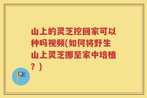山上的灵芝挖回家可以种吗视频(如何将野生山上灵芝挪至家中培植？)