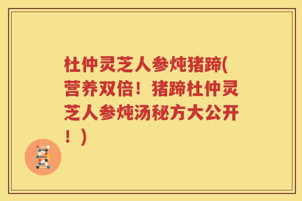 杜仲灵芝人参炖猪蹄(营养双倍！猪蹄杜仲灵芝人参炖汤秘方大公开！)
