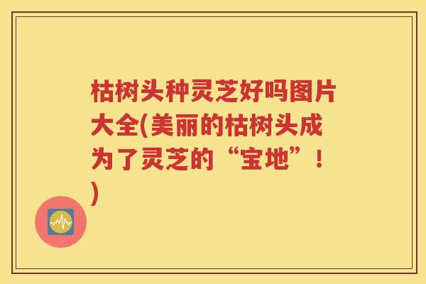 枯树头种灵芝好吗图片大全(美丽的枯树头成为了灵芝的“宝地”！)