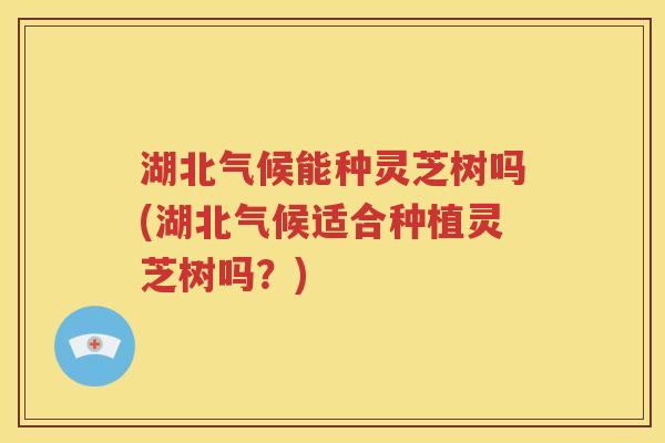 湖北气候能种灵芝树吗(湖北气候适合种植灵芝树吗？)