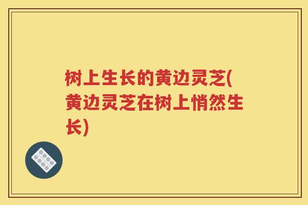 树上生长的黄边灵芝(黄边灵芝在树上悄然生长)