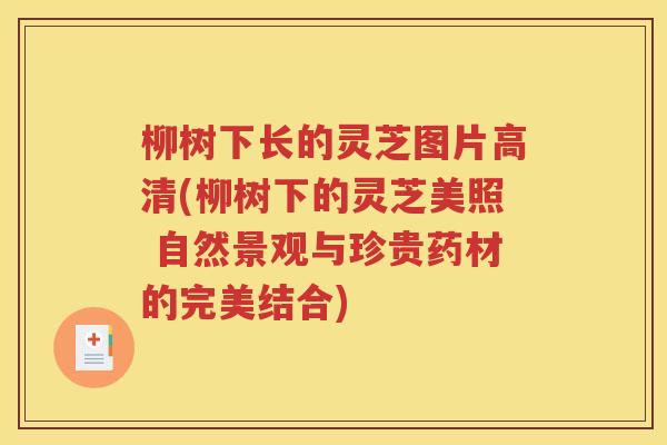 柳树下长的灵芝图片高清(柳树下的灵芝美照 自然景观与珍贵药材的完美结合)