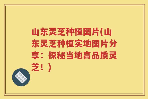 山东灵芝种植图片(山东灵芝种植实地图片分享：探秘当地高品质灵芝！)