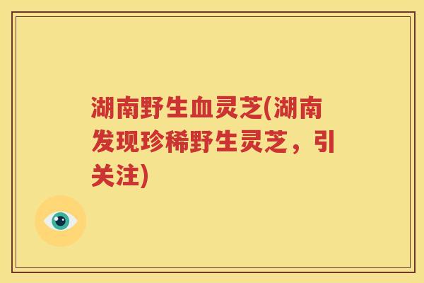 湖南野生血灵芝(湖南发现珍稀野生灵芝，引关注)