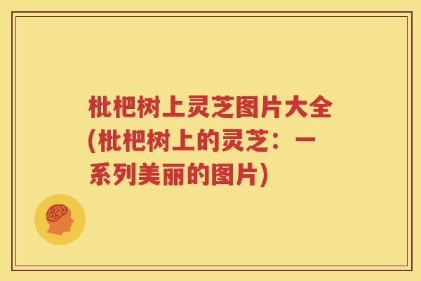 枇杷树上灵芝图片大全(枇杷树上的灵芝：一系列美丽的图片)