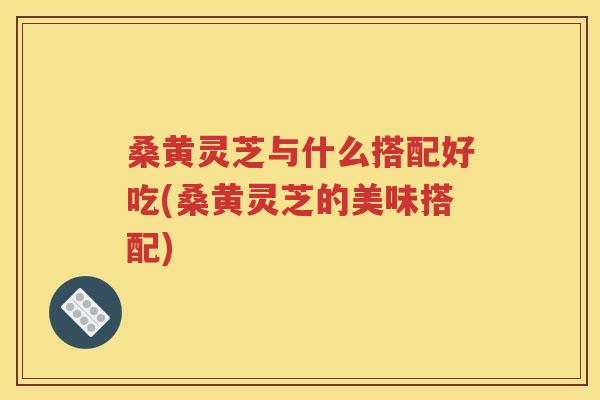 桑黄灵芝与什么搭配好吃(桑黄灵芝的美味搭配)