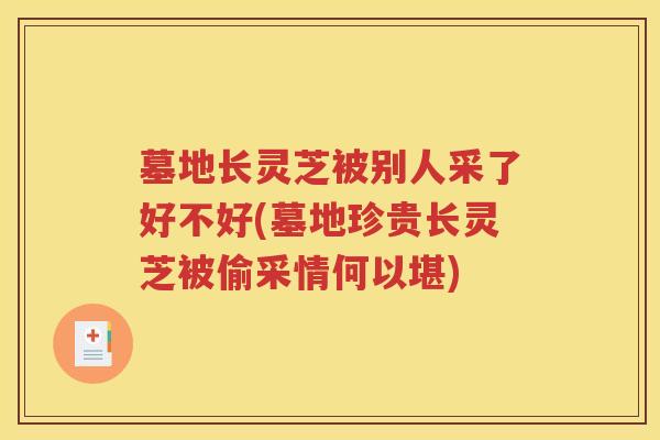 墓地长灵芝被别人采了好不好(墓地珍贵长灵芝被偷采情何以堪)