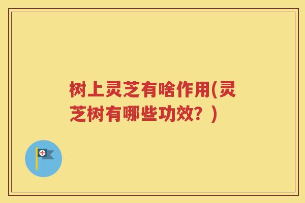 树上灵芝有啥作用(灵芝树有哪些功效？)