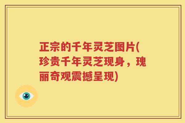 正宗的千年灵芝图片(珍贵千年灵芝现身，瑰丽奇观震撼呈现)