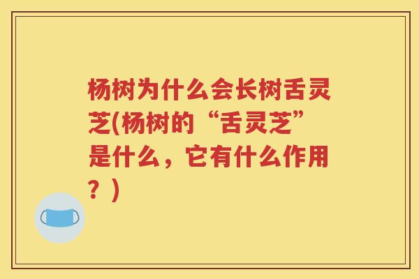 杨树为什么会长树舌灵芝(杨树的“舌灵芝”是什么，它有什么作用？)