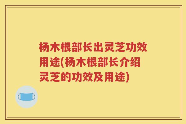 杨木根部长出灵芝功效用途(杨木根部长介绍灵芝的功效及用途)