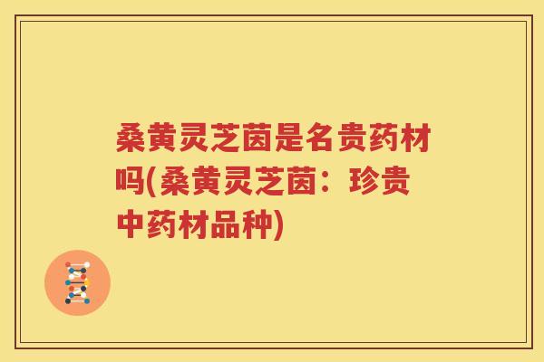 桑黄灵芝茵是名贵药材吗(桑黄灵芝茵：珍贵中药材品种)