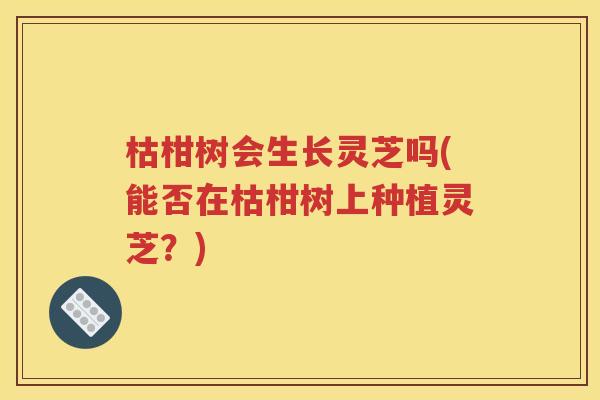 枯柑树会生长灵芝吗(能否在枯柑树上种植灵芝？)