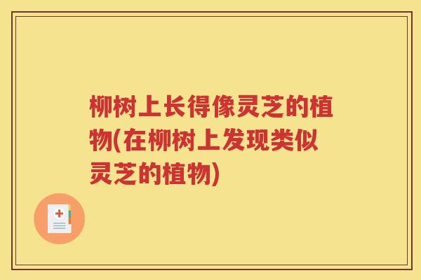 柳树上长得像灵芝的植物(在柳树上发现类似灵芝的植物)