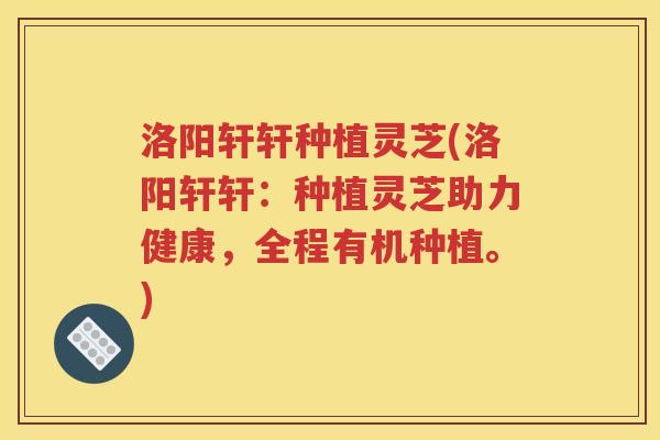 洛阳轩轩种植灵芝(洛阳轩轩：种植灵芝助力健康，全程有机种植。)