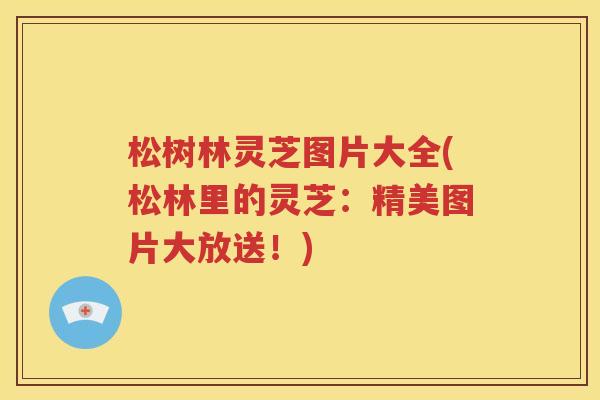 松树林灵芝图片大全(松林里的灵芝：精美图片大放送！)