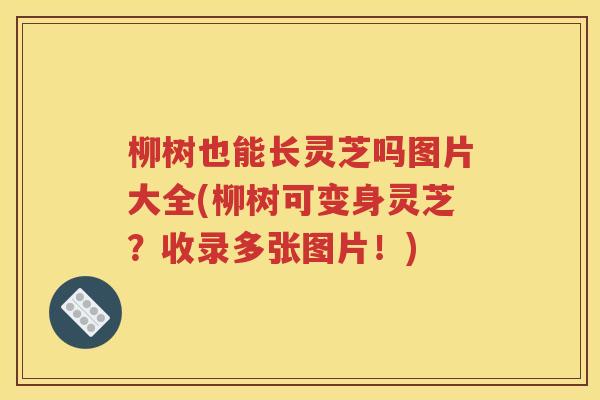 柳树也能长灵芝吗图片大全(柳树可变身灵芝？收录多张图片！)