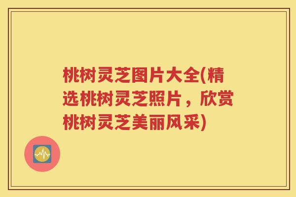 桃树灵芝图片大全(精选桃树灵芝照片，欣赏桃树灵芝美丽风采)
