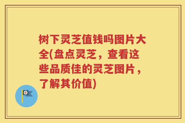 树下灵芝值钱吗图片大全(盘点灵芝，查看这些品质佳的灵芝图片，了解其价值)