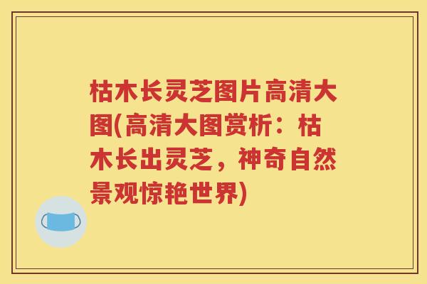 枯木长灵芝图片高清大图(高清大图赏析：枯木长出灵芝，神奇自然景观惊艳世界)