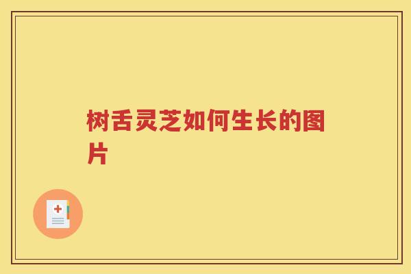 树舌灵芝如何生长的图片