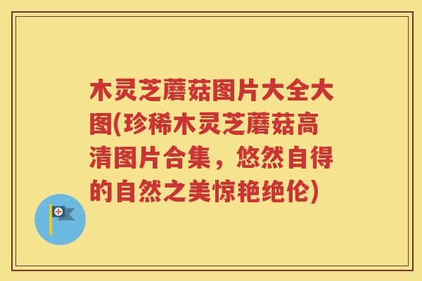 木灵芝蘑菇图片大全大图(珍稀木灵芝蘑菇高清图片合集，悠然自得的自然之美惊艳绝伦)