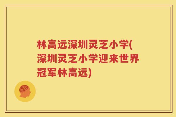 林高远深圳灵芝小学(深圳灵芝小学迎来世界冠军林高远)