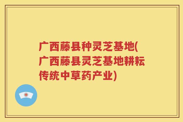 广西藤县种灵芝基地(广西藤县灵芝基地耕耘传统中草药产业)