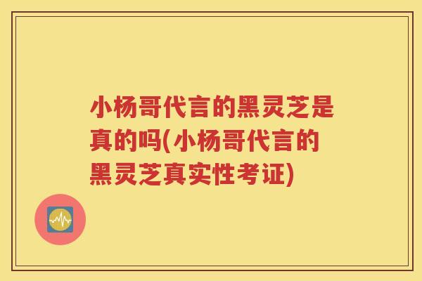 小杨哥代言的黑灵芝是真的吗(小杨哥代言的黑灵芝真实性考证)