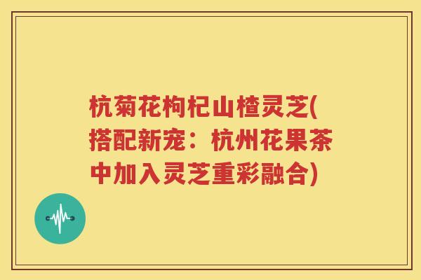 杭菊花枸杞山楂灵芝(搭配新宠：杭州花果茶中加入灵芝重彩融合)
